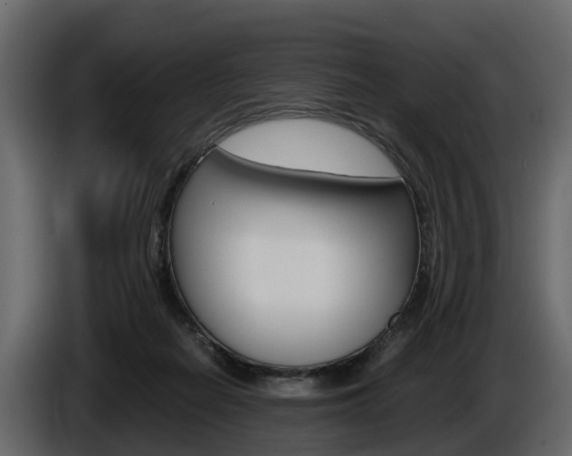X0000086010266200703230917