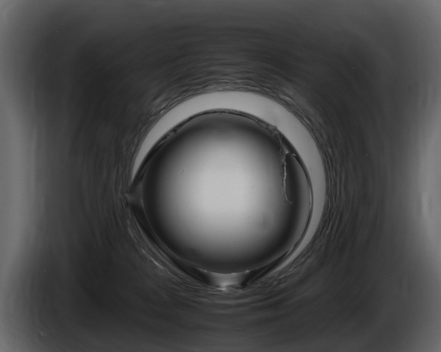 X0000086010277200703230917