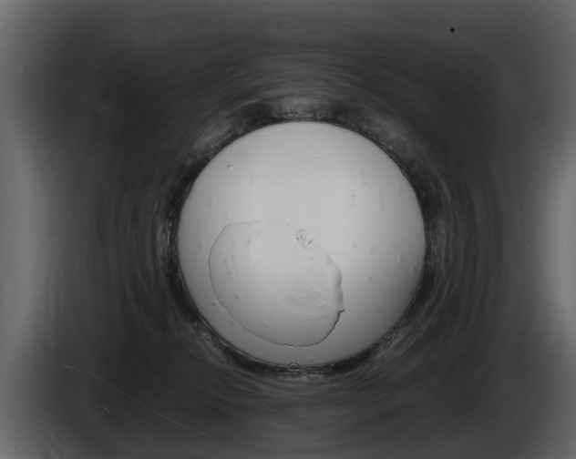 X0000086010278200703230917