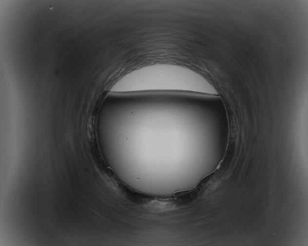 X0000086010280200703230917