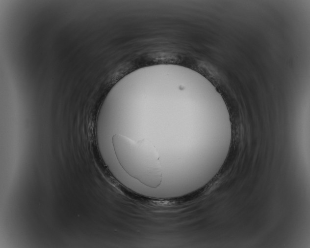 X0000086010281200703230917