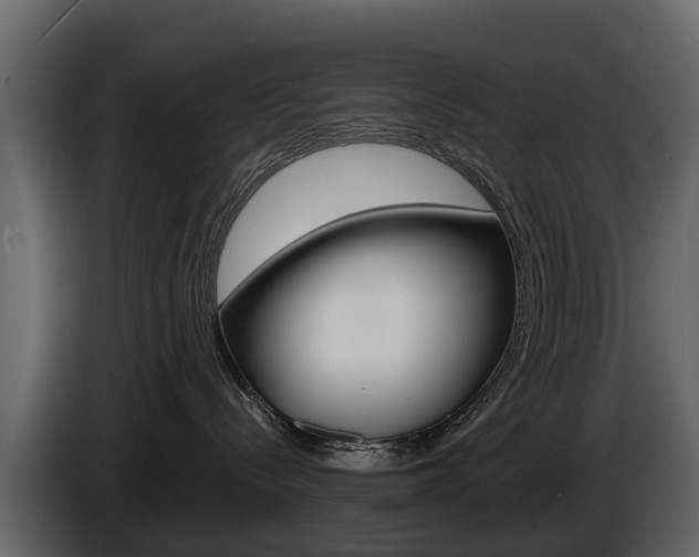 X0000086010288200703230917
