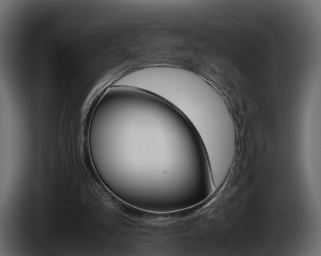 X0000086010293200703230917