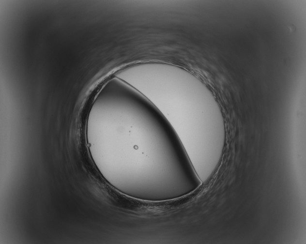X0000086010295200703230917