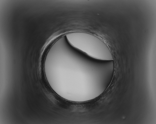X0000086010296200703230917