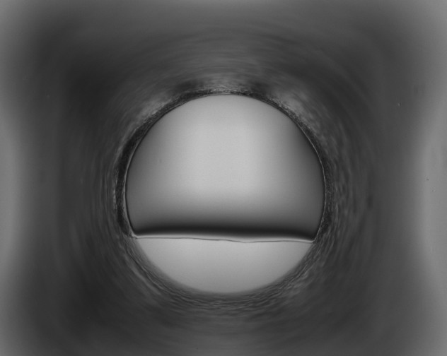 X0000086010299200703230917