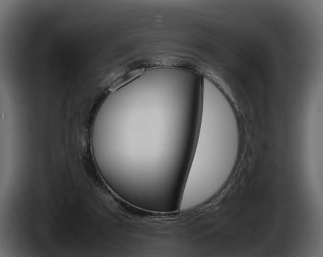 X0000086010305200703230916