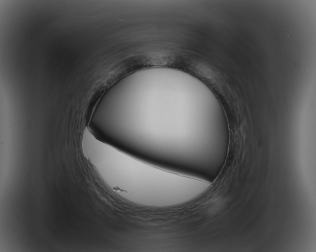 X0000086010307200703230916