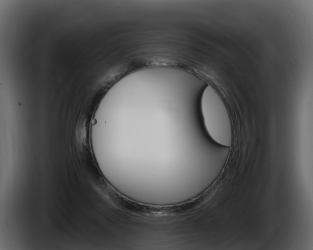 X0000086010310200703230916