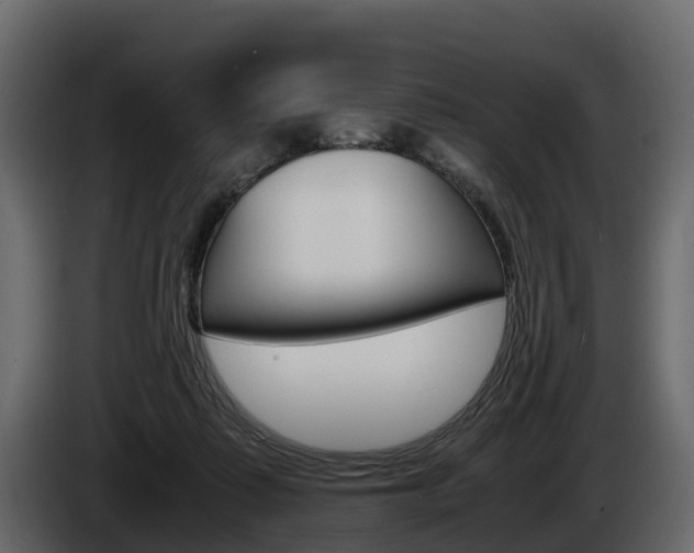 X0000086010315200703230916