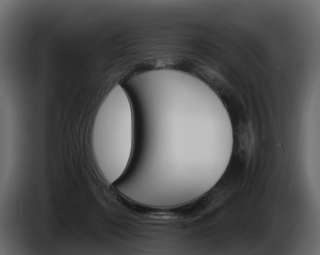 X0000086010316200703230916
