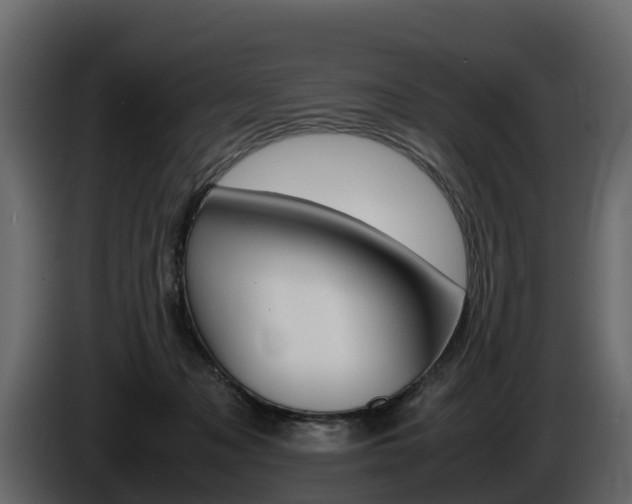 X0000086010317200703230916