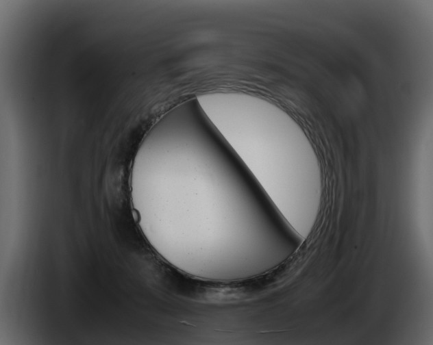 X0000086010319200703230916