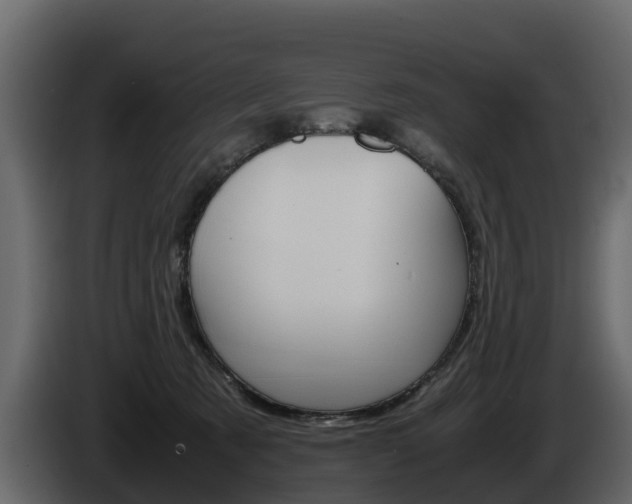 X0000086010321200703230916