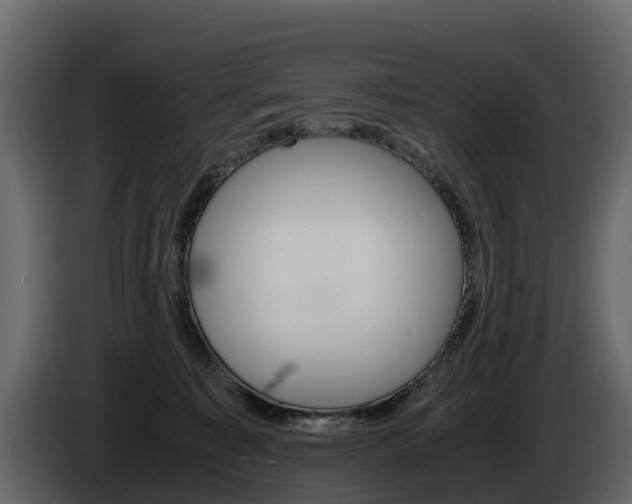 X0000086010323200703230916
