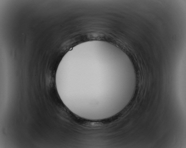 X0000086010324200703230916