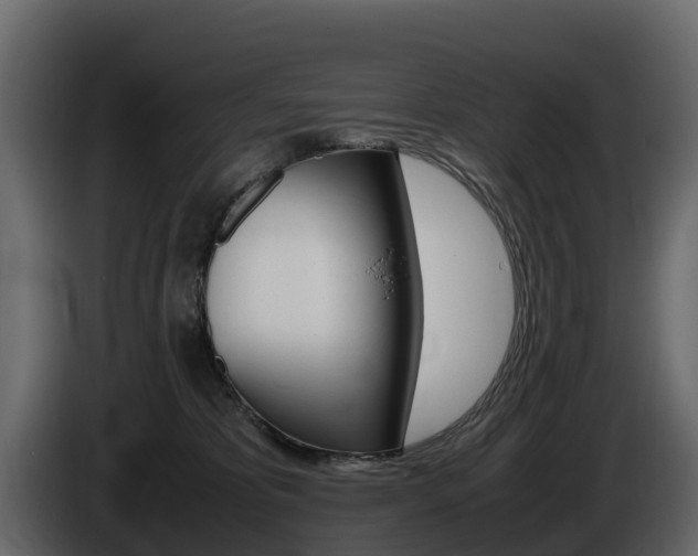 X0000086010325200703230916