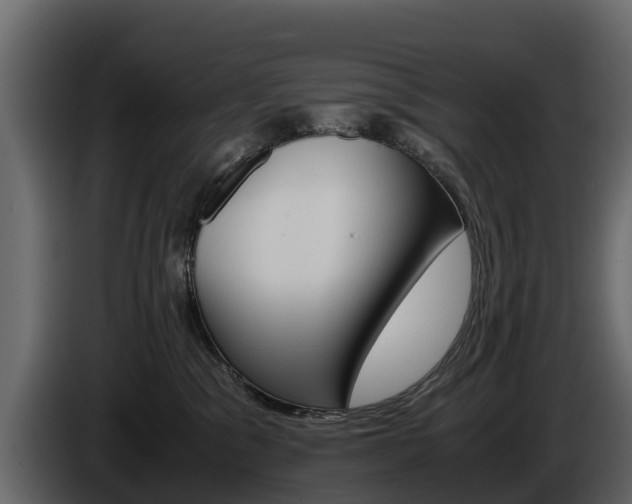 X0000086010329200703230916