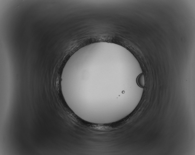 X0000086010336200703230916