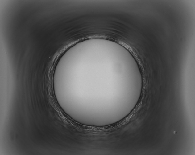 X0000086010337200703230915