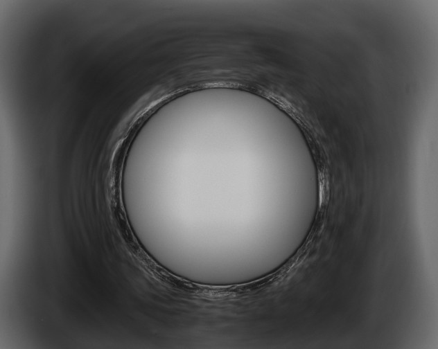 X0000086010339200703230915