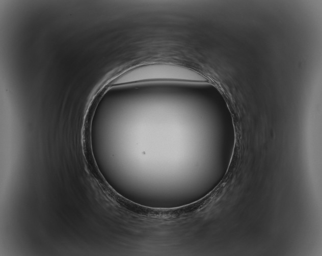 X0000086010340200703230915
