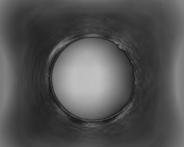 X0000086010341200703230915