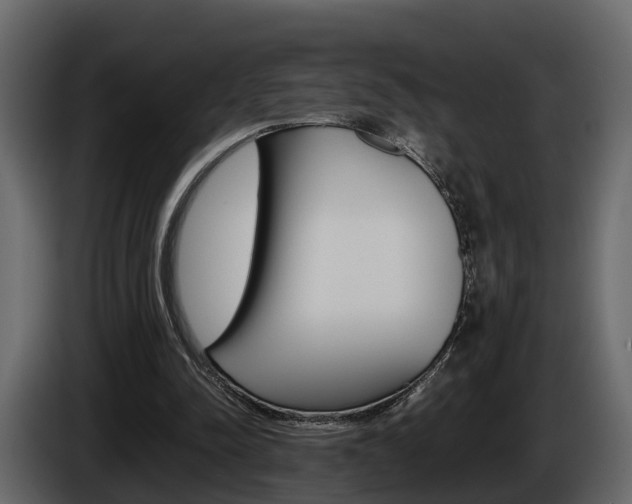 X0000086010342200703230915