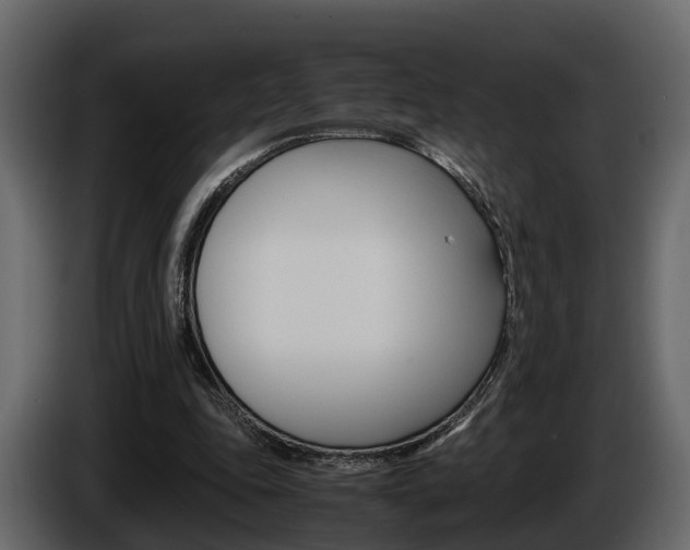 X0000086010343200703230915