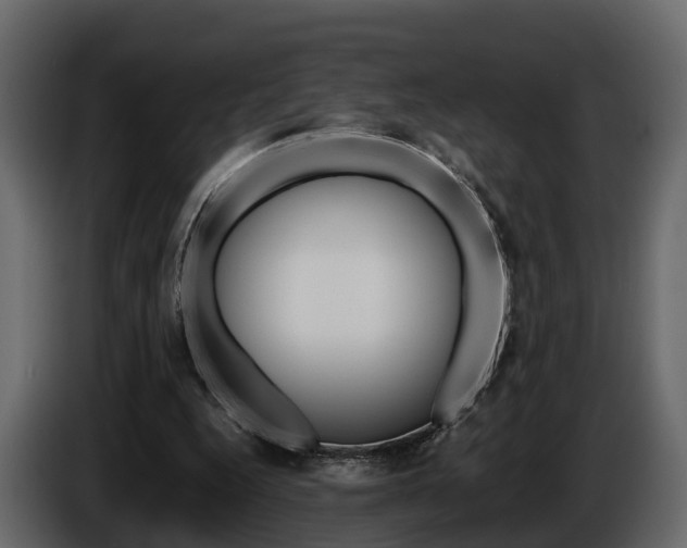 X0000086010344200703230915