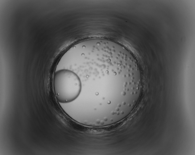 X0000086010346200703230916