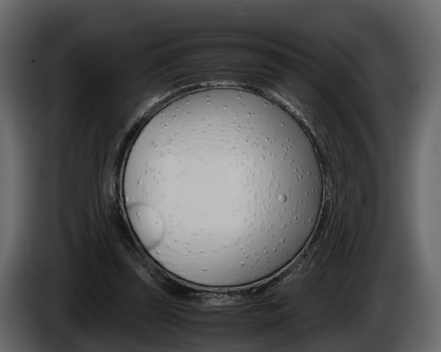 X0000086010347200703230916
