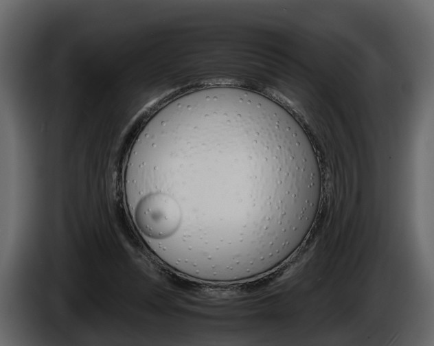 X0000086010351200703230916