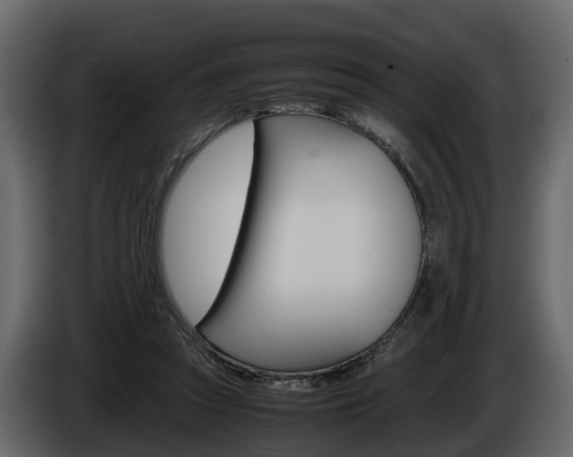 X0000086010353200703230916