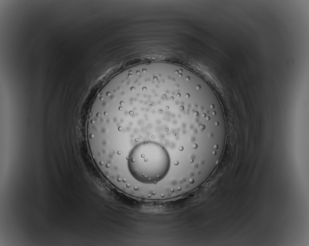 X0000086010354200703230916