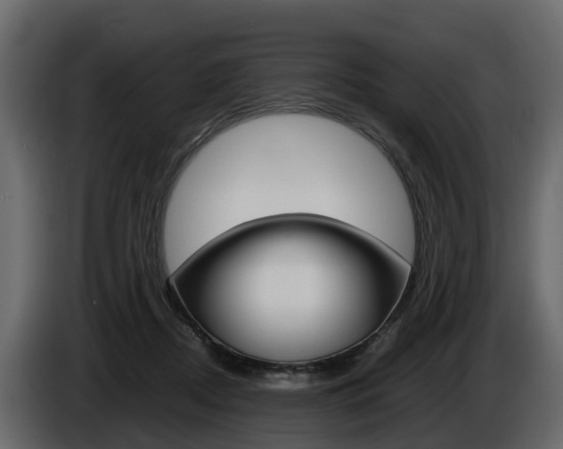 X0000086010362200703230916