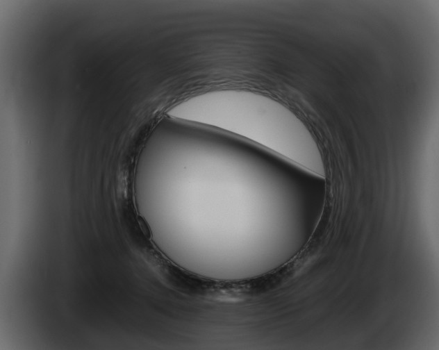 X0000086010368200703230916