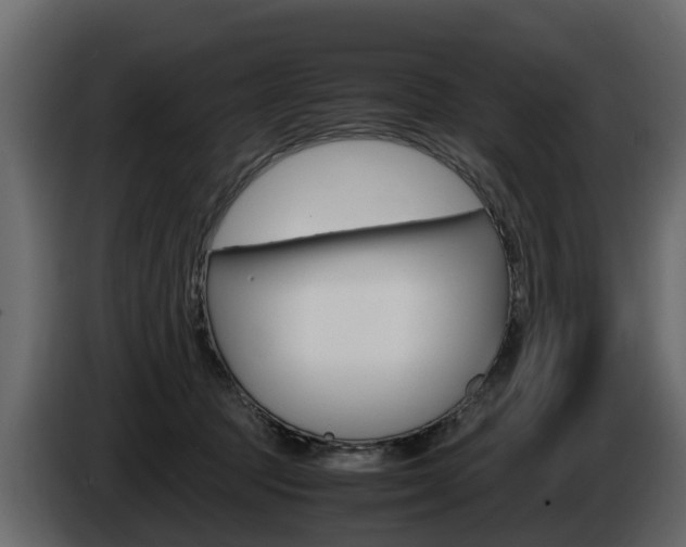 X0000086010369200703230916