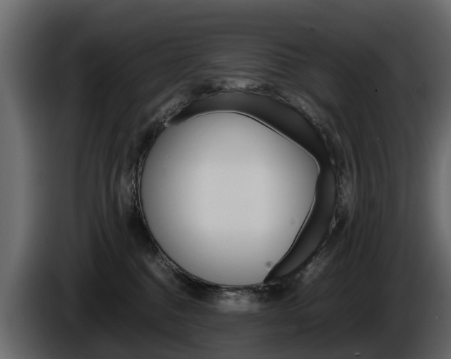 X0000086010376200703230916