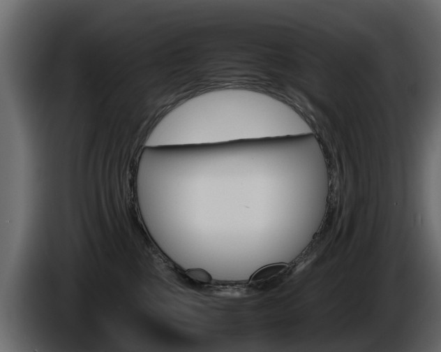 X0000086010377200703230916