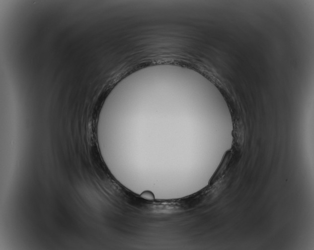 X0000086010378200703230916