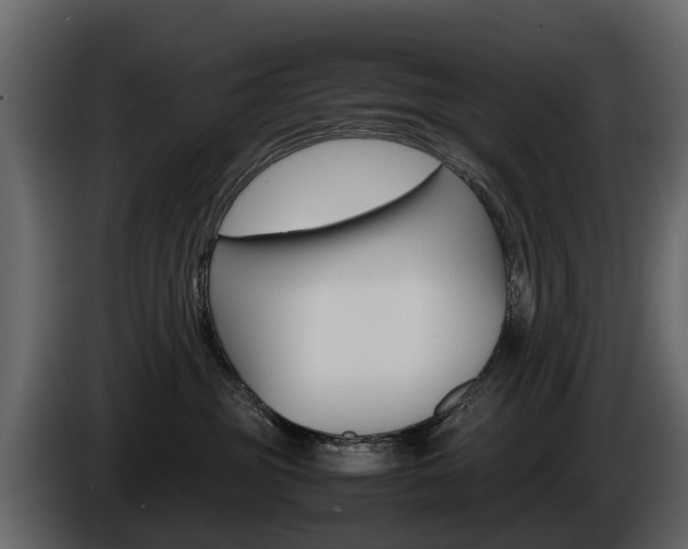 X0000086010381200703230916