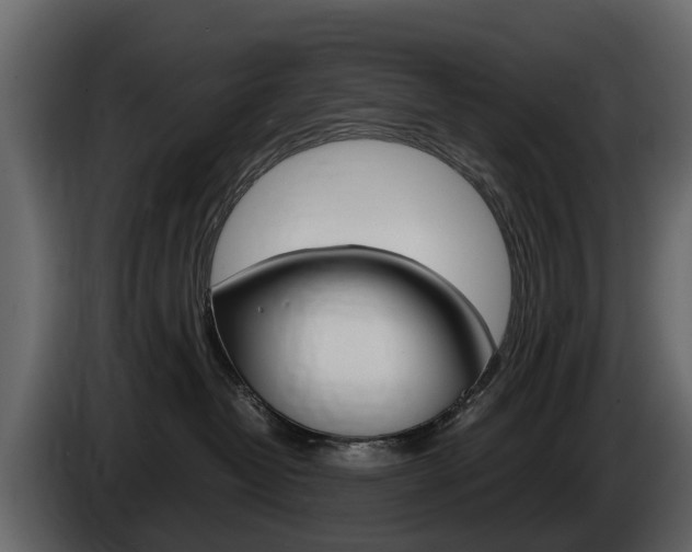 X0000086010382200703230916