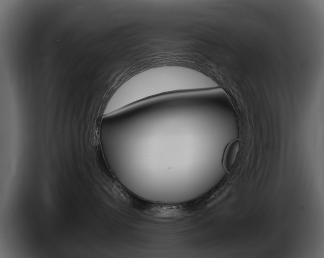 X0000086010384200703230916