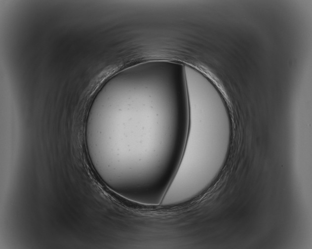 X0000086010385200703230915