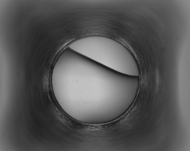 X0000086010386200703230915