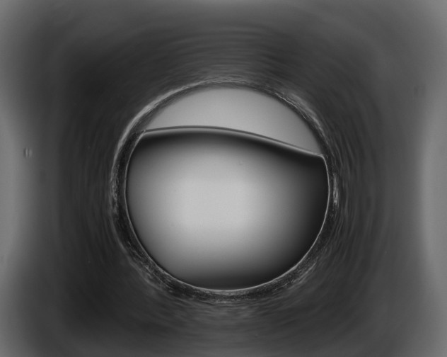 X0000086010388200703230915