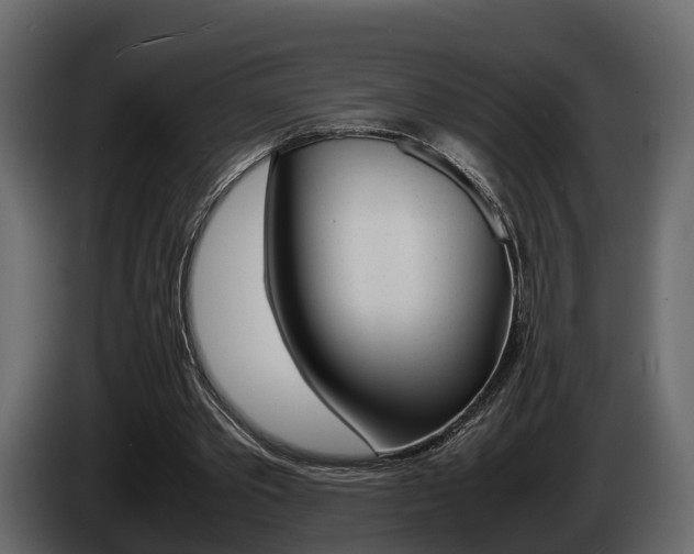 X0000086010389200703230915