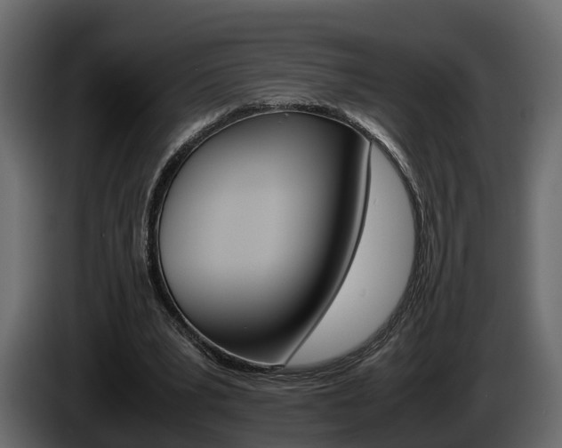 X0000086010391200703230915