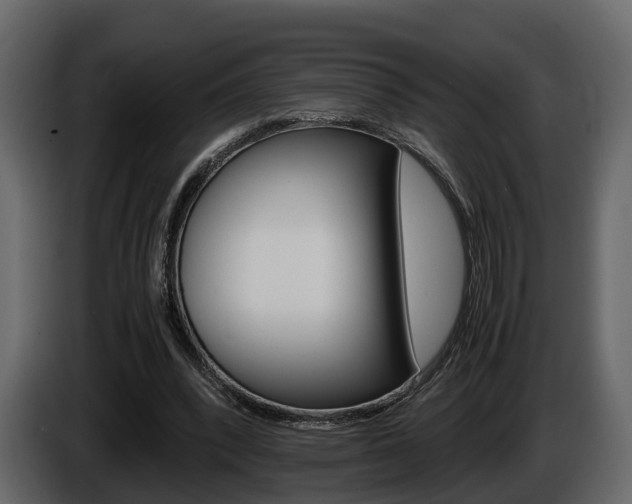 X0000086010392200703230915